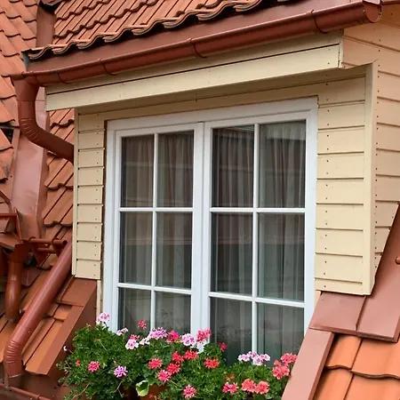 Very Pilies Street *