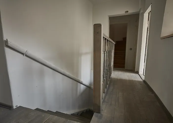 维尔纽斯比利斯街非常公寓 *