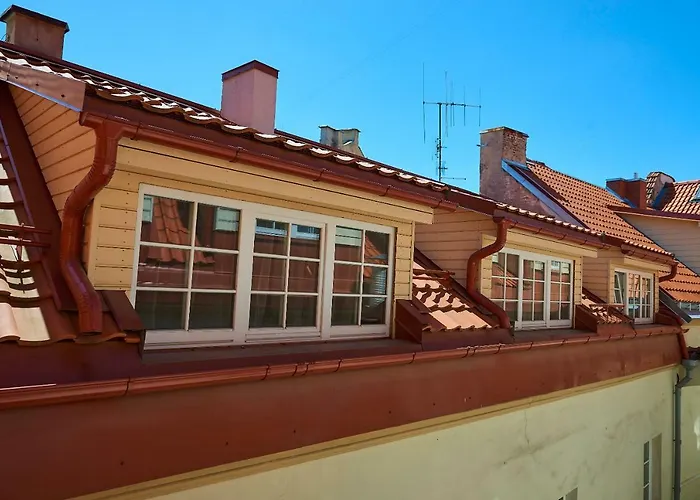 维尔纽斯比利斯街非常公寓 *