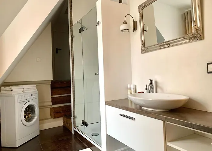 维尔纽斯比利斯街非常公寓