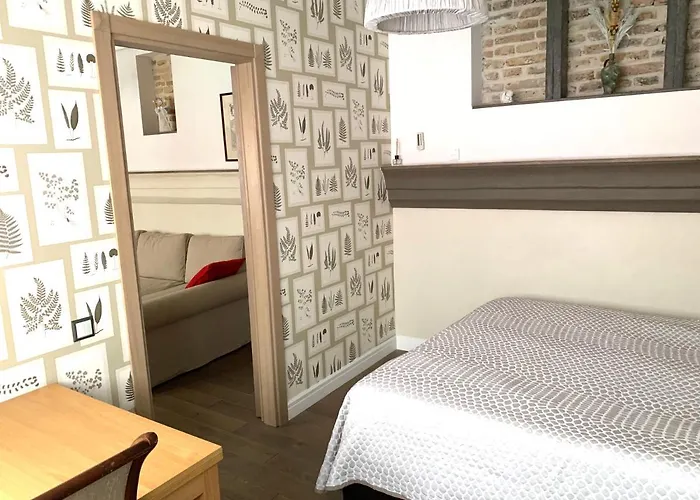 维尔纽斯比利斯街非常公寓 *