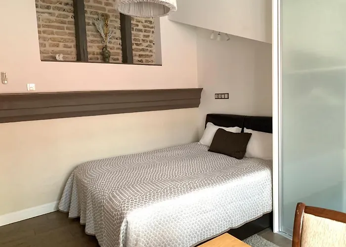 Very Pilies Street Apartment Vilnius